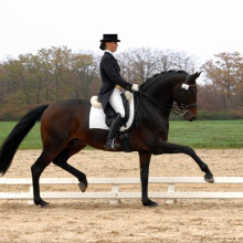 Amandine Prévost - Vledder M