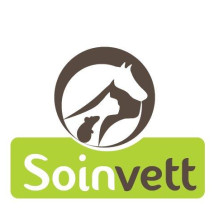 Soinvett
