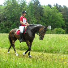 TREC Brachfeld - mai 2018 (c) Marc Renard