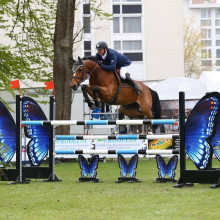 Yves Vilain - Belle Fée - CSI3 Maubeuge (FRA) - avril 2017 - Psv Photo (c)